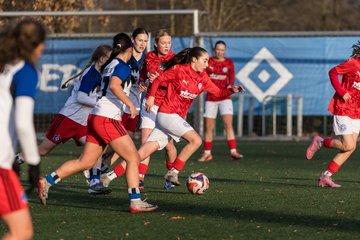 Bild 138 - wBJ Hamburger SV - Holstein Kiel : Ergebnis: 8:0